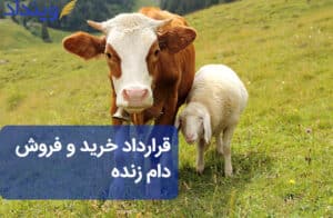 قرارداد خرید و فروش دام زنده