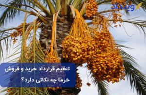 قرارداد خرید و فروش خرما