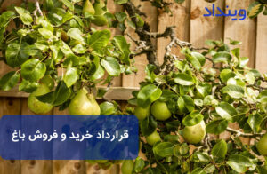 قرارداد خرید و فروش باغ