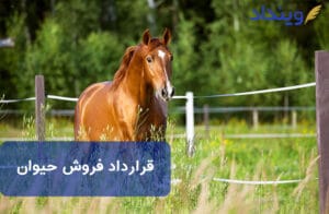 قرارداد فروش حیوان