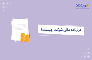 ترازنامه مالی شرکت چیست؟